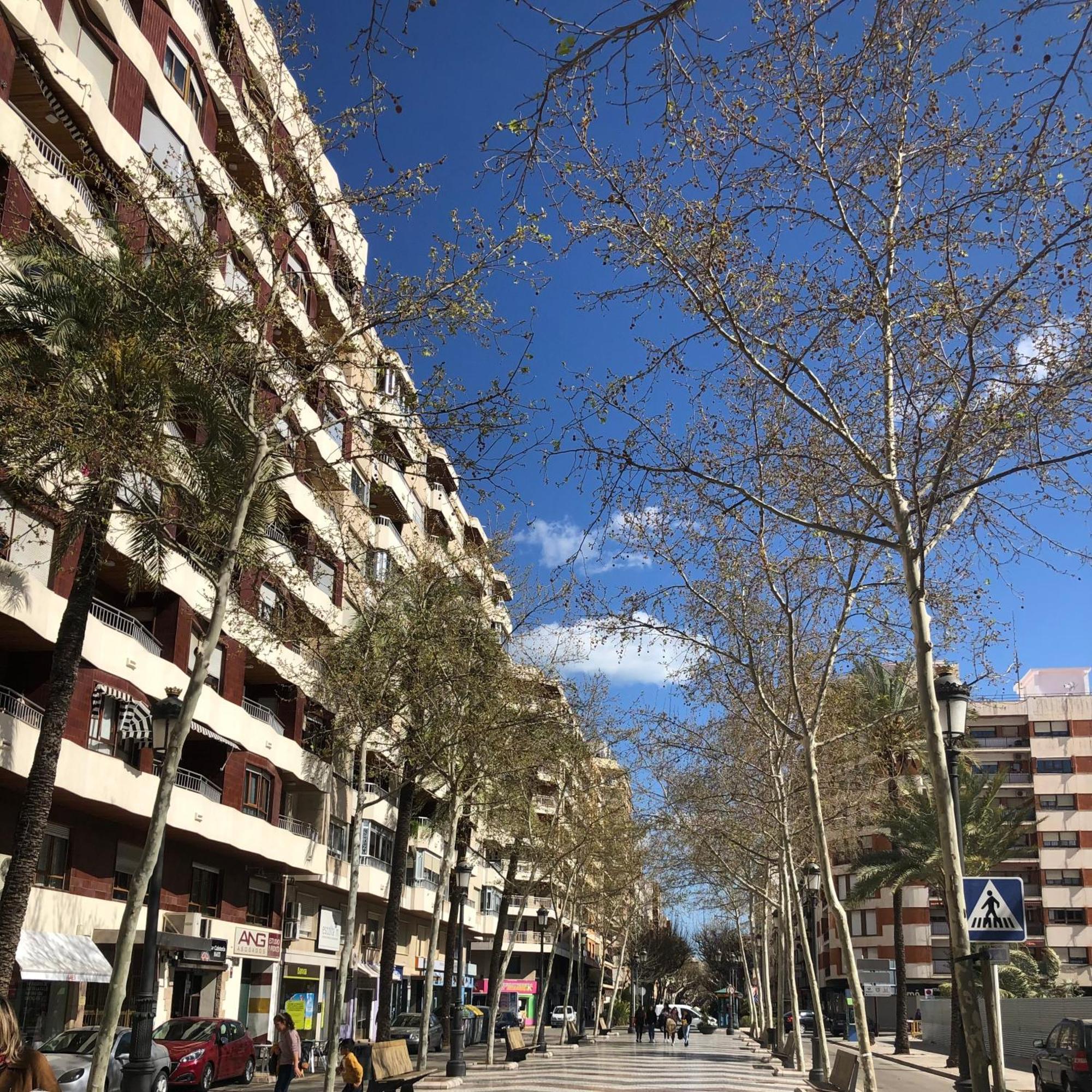 Habitaciones En Gandia A 5 Min Del Centro Historico Bagian luar foto